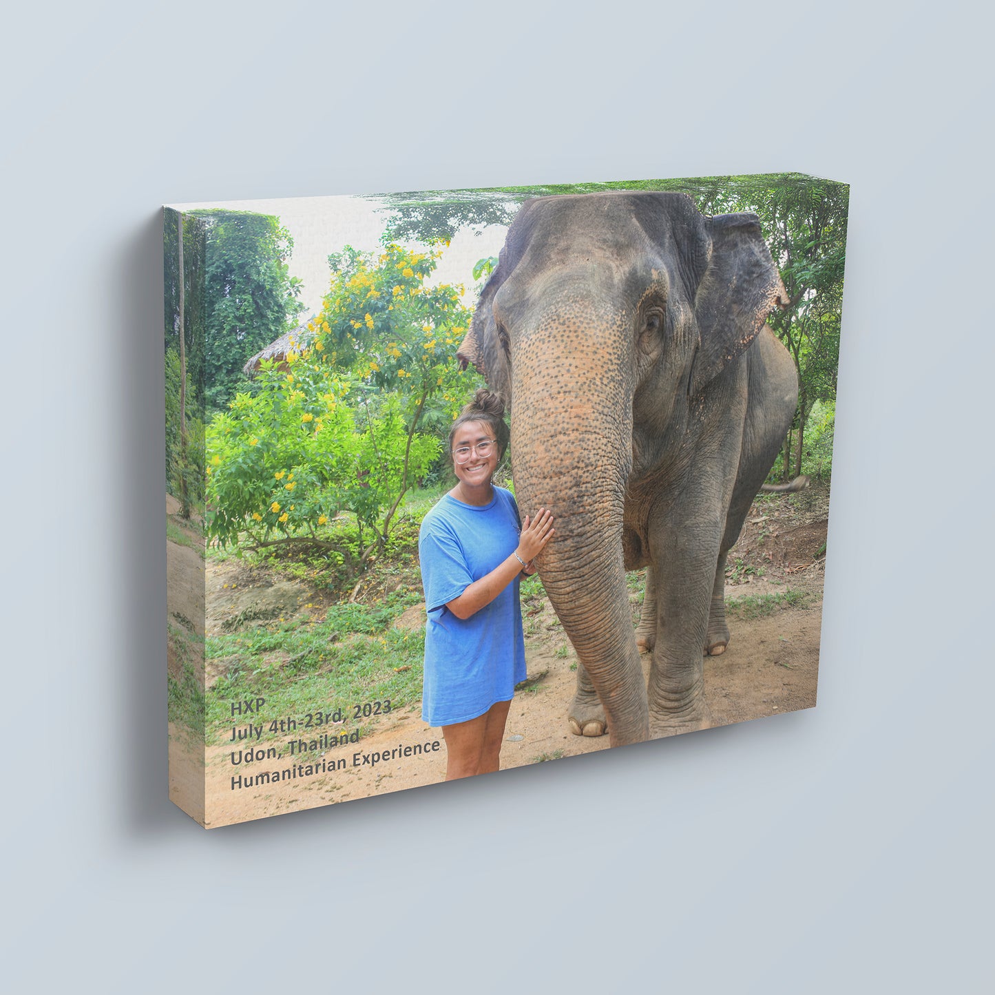Trophy Canvas™ - Trophy Canvas