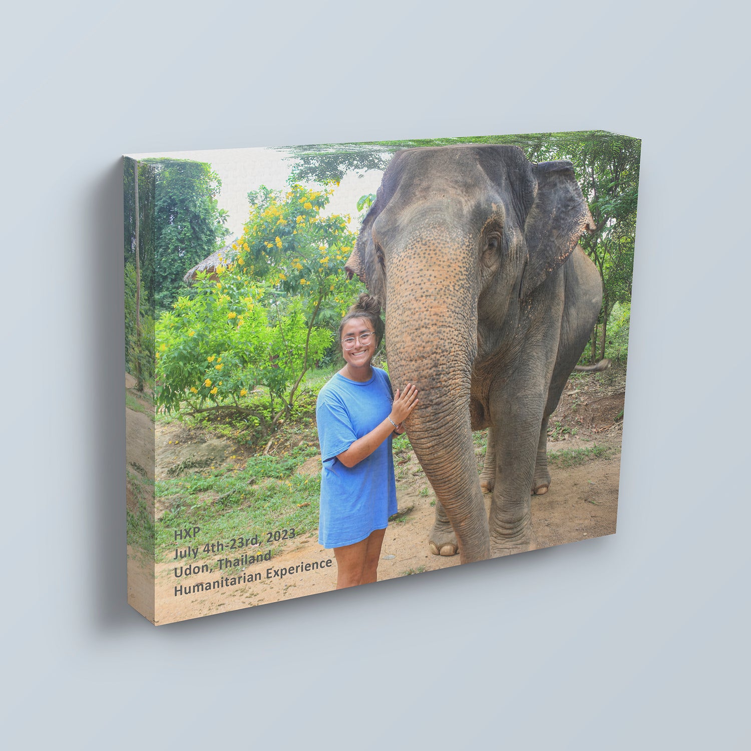 Trophy Canvas™ - Trophy Canvas